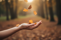 Letting the Leaves Fall